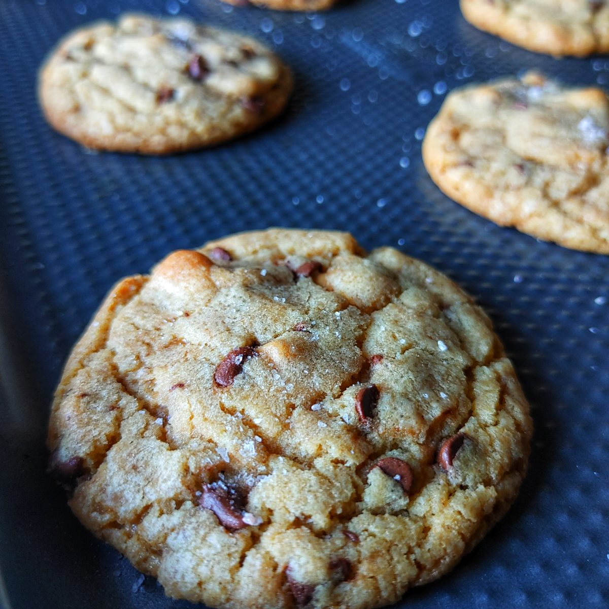 Sea Salt Toffee Chocolate Chip Cookies Mama Myers Bakery